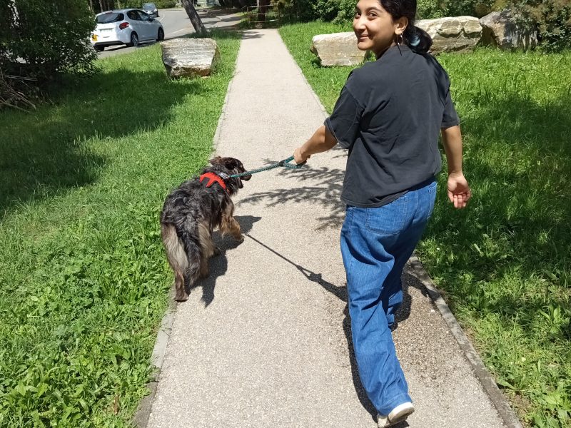 Promenade amusante et détente assurée