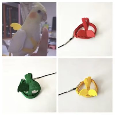 Corde d’entraînement anti-morsure pour oiseaux