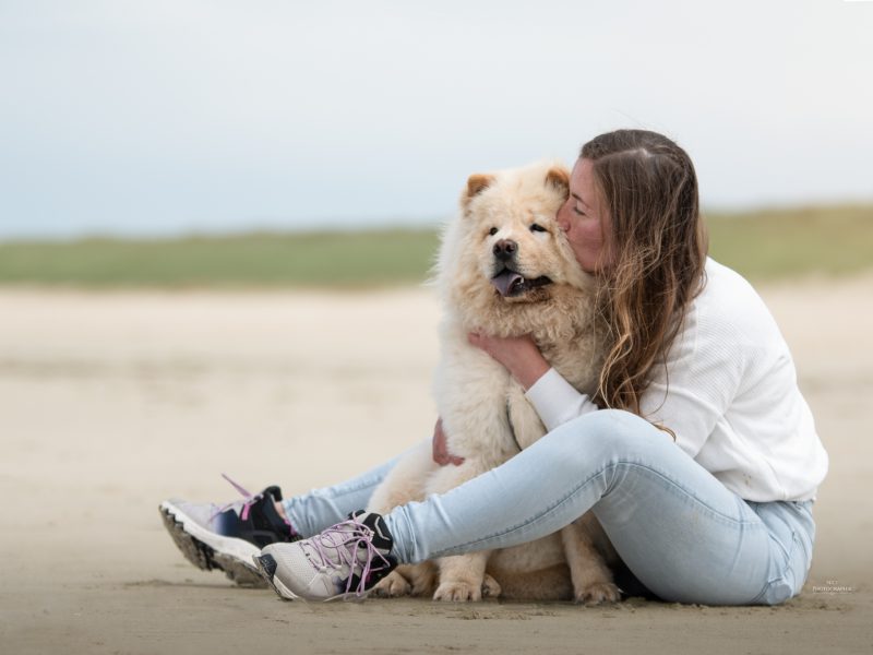 Pension canine familiale sans box