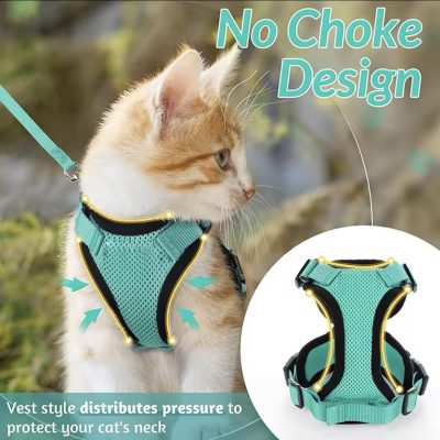Harnais confort & Laisse pour chat