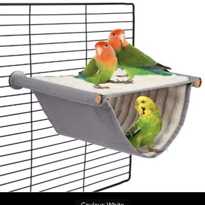 Abri d’hiver douillet pour oiseaux