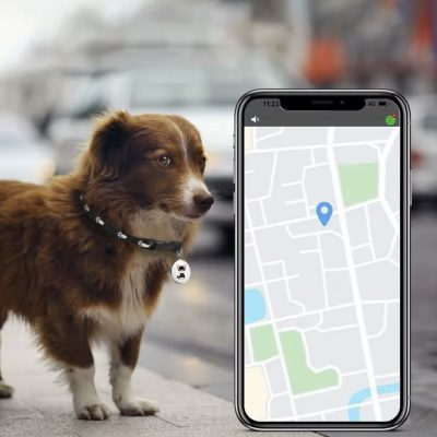Traceur GPS pour animaux