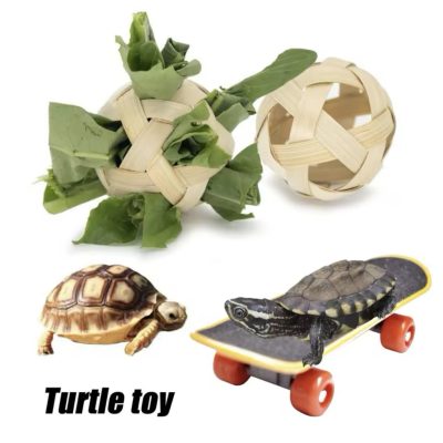 Balle distributrice de nourriture et mini skateboard jouet pour tortues