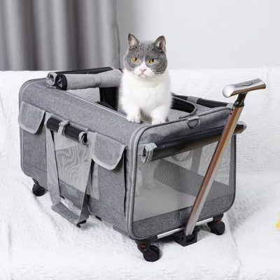 Chariot de Transport XL pour animaux domestiques