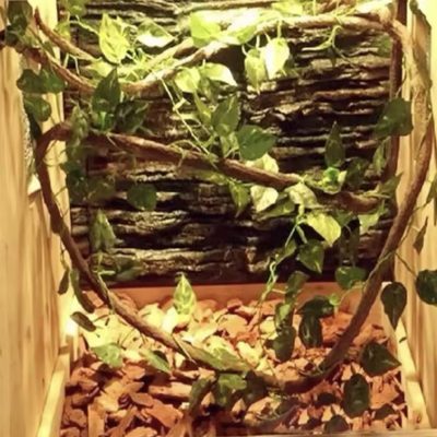 Lianes en rotin flexibles