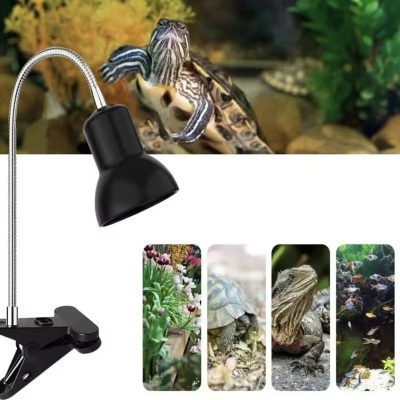 Lampe chauffante avec abat-jour pour reptiles