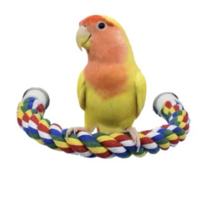 Jouet à Mordre pour Oiseaux