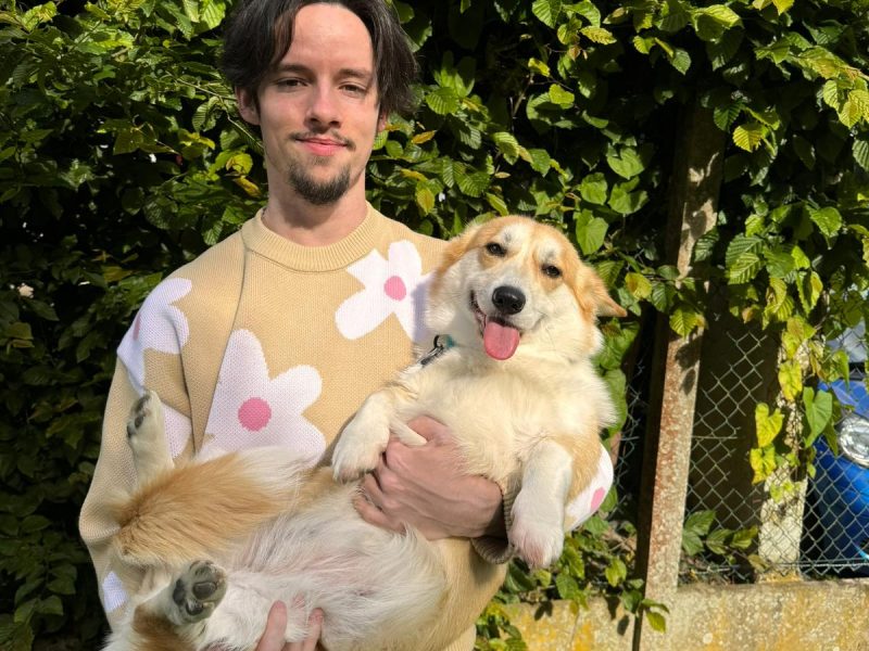 Garde chez le petsitter