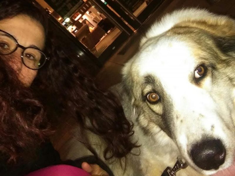 Garderie (Homesitting)